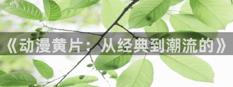 火狼动漫网无删减
